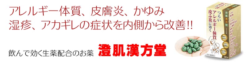 �������������T�C�g